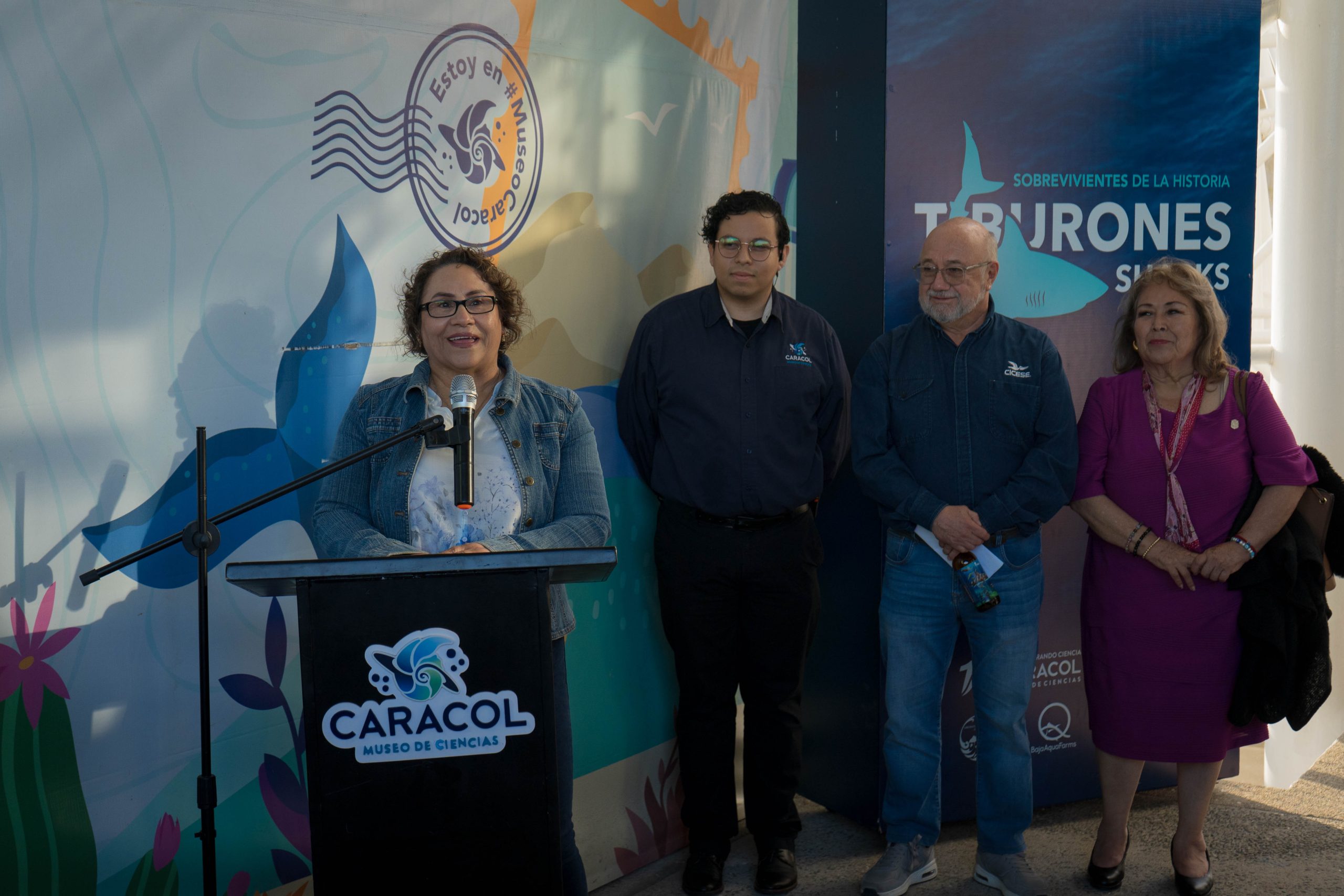 Exposición_Tiburones _Sobrevivientes de la historia-07