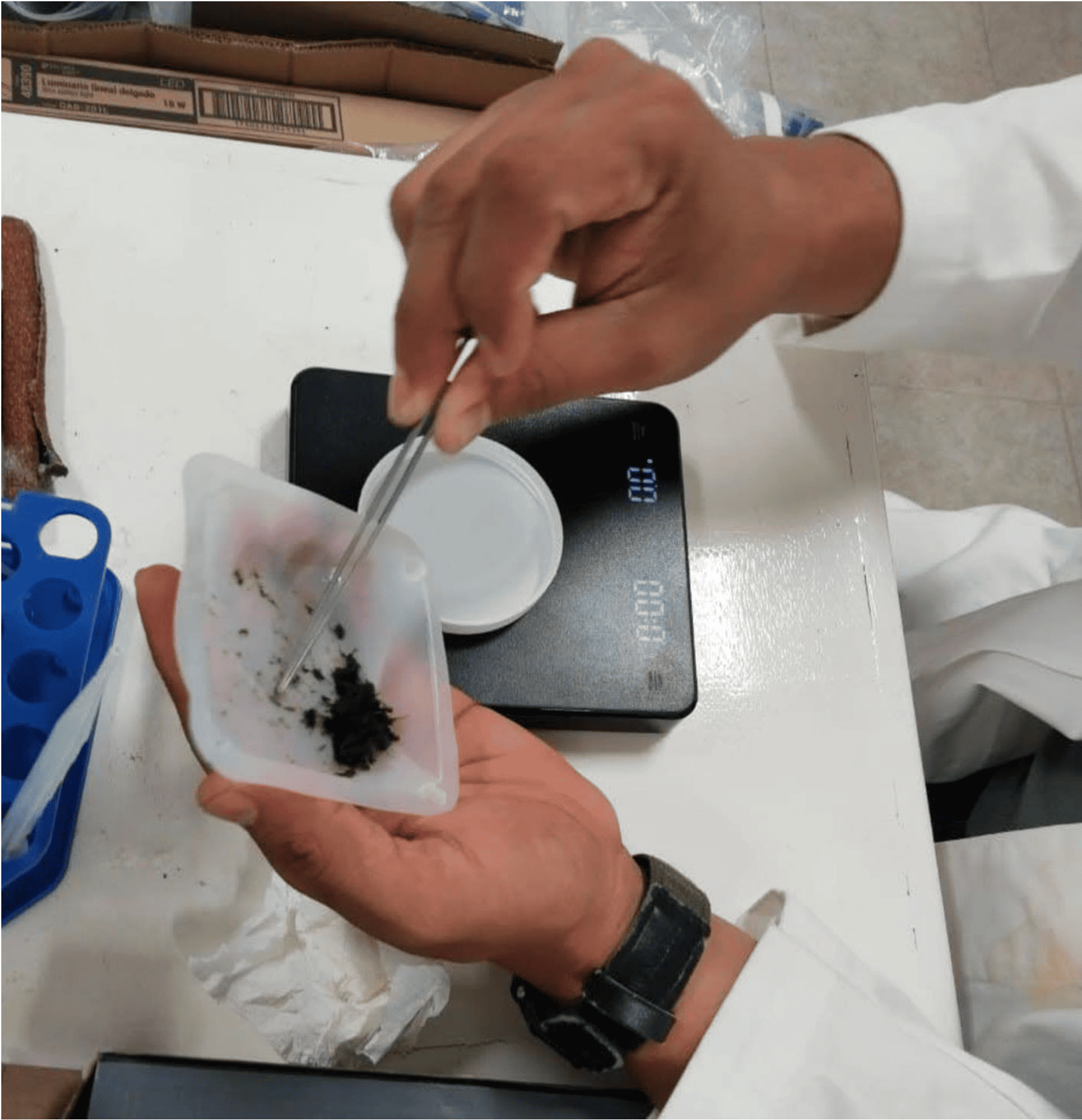 Muestras recolectadas para su análisis en laboratorio y tubos de PVC con malla de mosquitero, utilizados como superficies artificiales para captar dinoflagelados bentónicos.