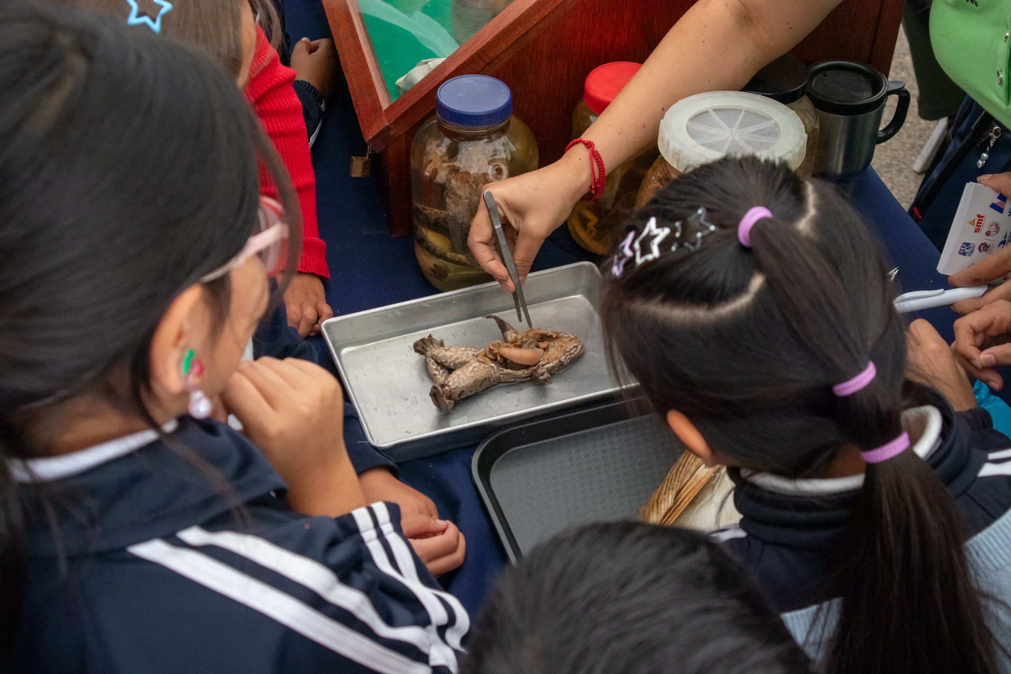 Encuentro Nacional de Divulgación en Museo Caracol-04
