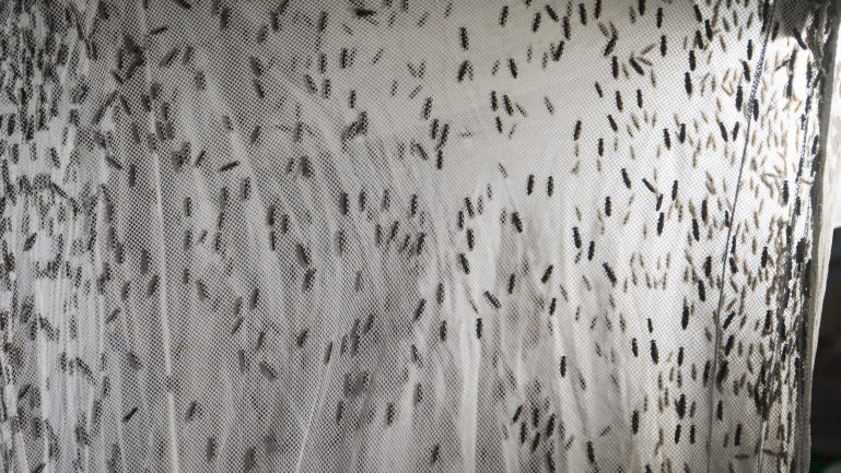 La Noche de las Ciencias 2026
