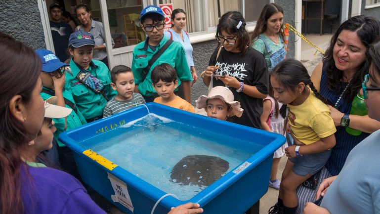 La Noche de las Ciencias 2026