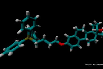 El compuesto mitoE2 fue construido manualmente en el programa Avogadro y optimizado mediante minimización de energía. El modelo fue inspeccionado estructuralmente en VMD (Visual Molecular Dynamics).